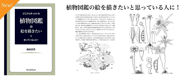 どこかにきっといる植物図鑑の絵を描きたいと思っている人に!著者：梅林正芳氏　出版社：ウッズプレス