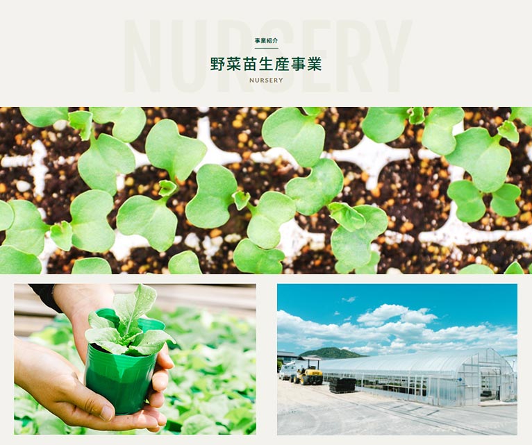 有限会社 文化農場　紹介ページ　野菜苗生産事業
