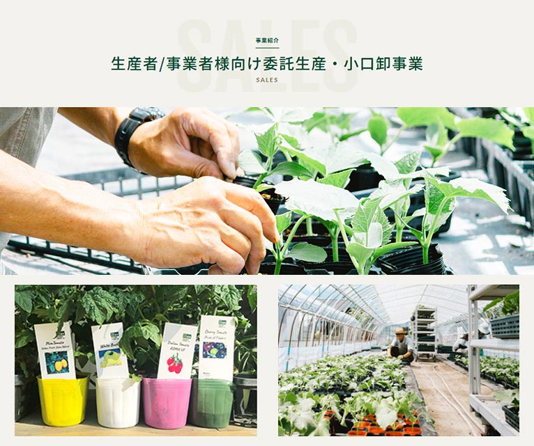 有限会社 文化農場　紹介ページ　生産者/事業者様向け委託生産・小口卸事業