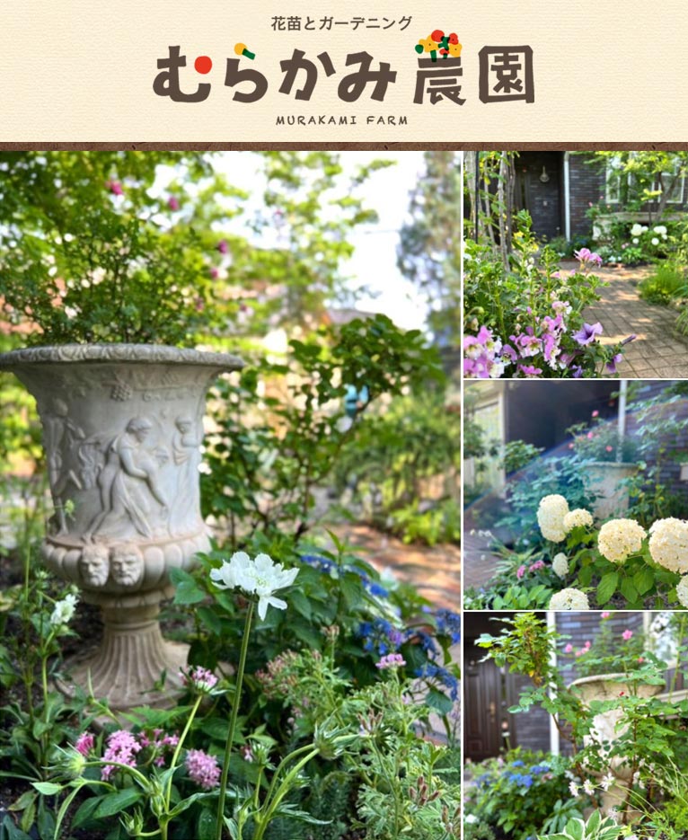 お客様のお庭のご紹介　むらかみ農園
