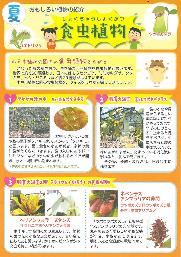 2022年7月1日～8月31日水戸市植物公園のおもしろい植物をさがせ！！夏ver.