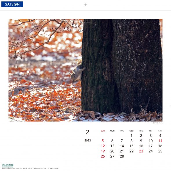 2022年9月16日～《赤城自然園2023カレンダー》ポイント交換＆販売開始！