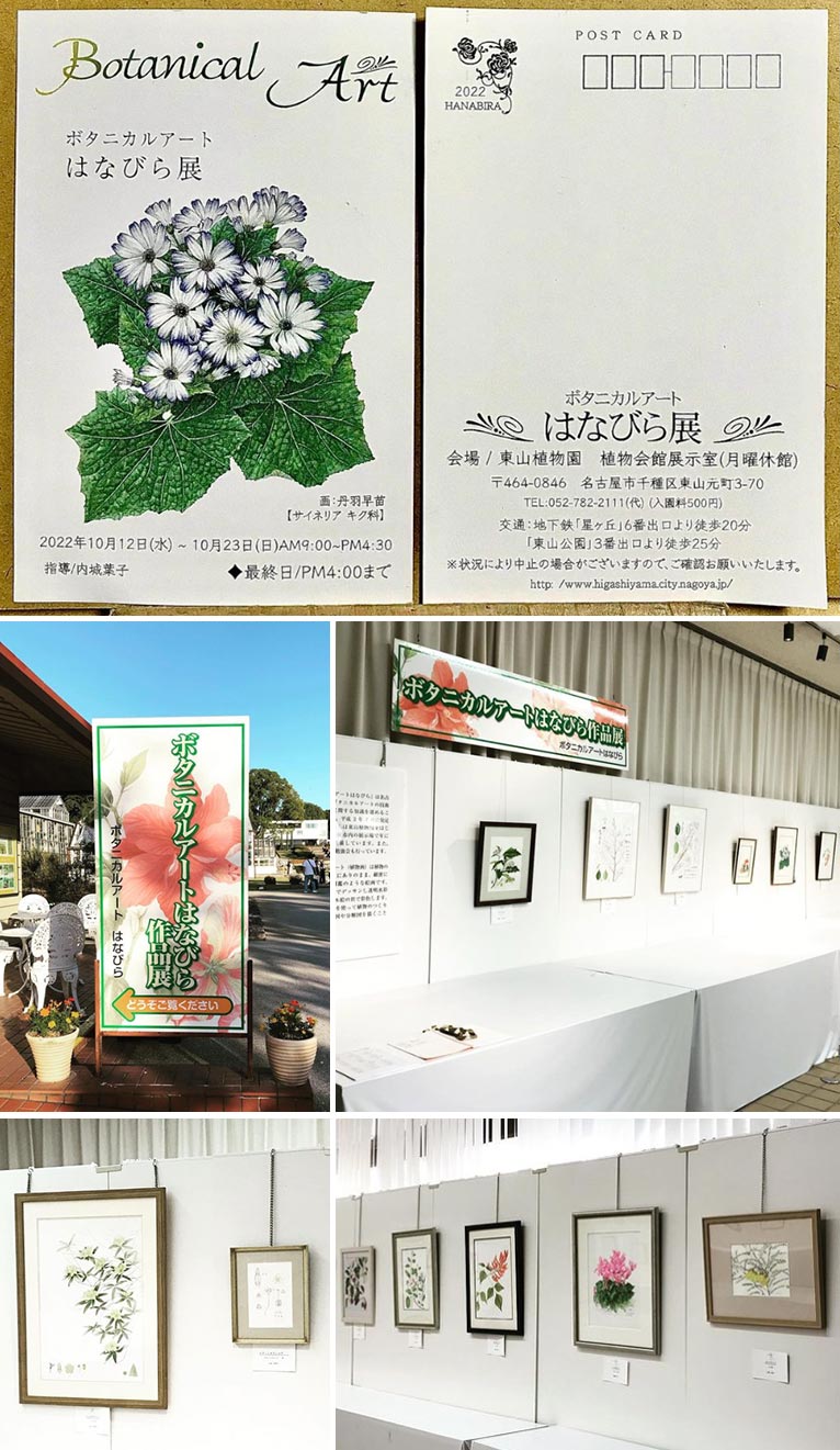 2022年10月12～23日『ボタニカルアートはなびら展』名古屋市東山動植物園