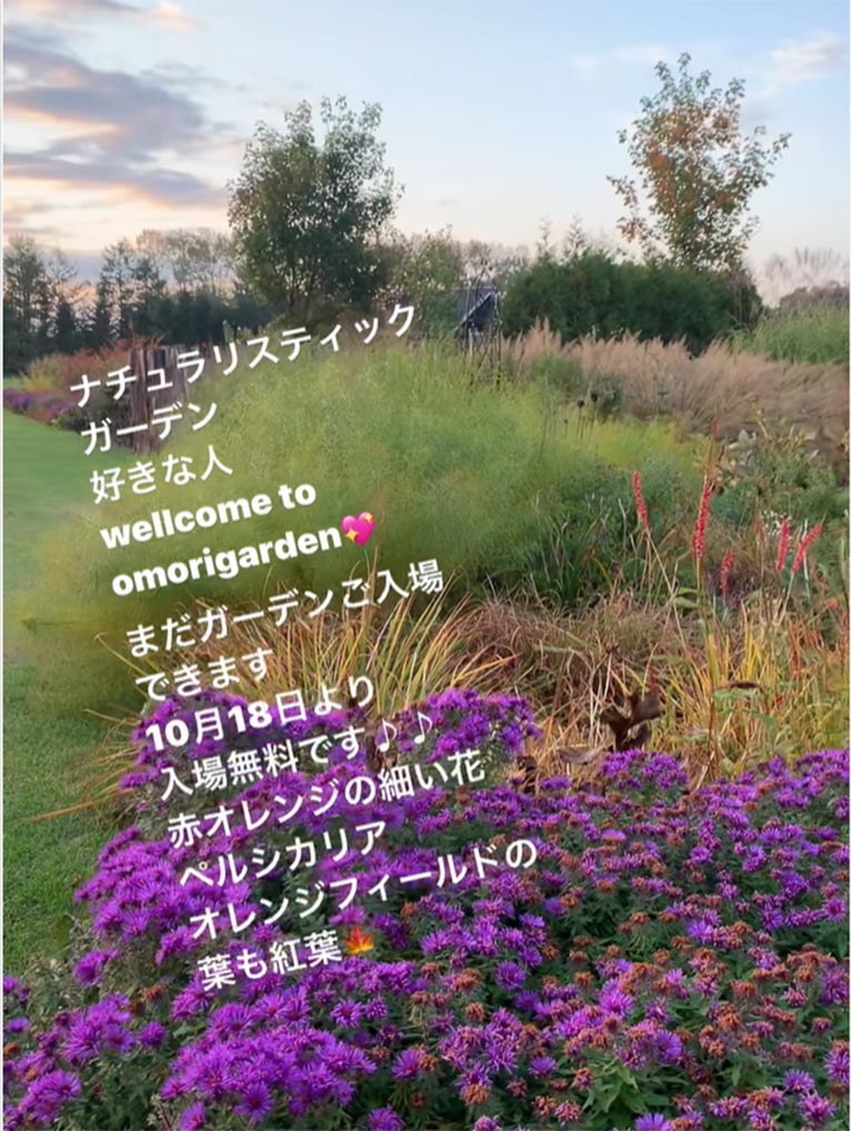 2022年10月18日～入場無料！『華やかな秋のガーデン』大森ガーデン
