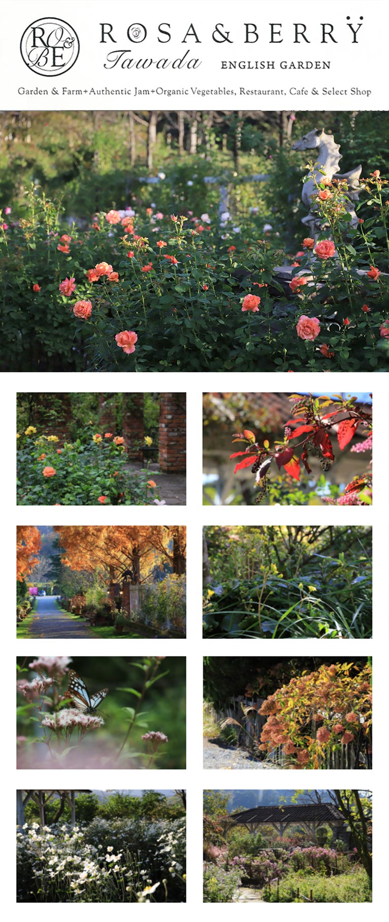 2022年10月中旬～11月上旬　秋のガーデンシーズン到来！『バラと宿根草の庭』ROSE & BERRY Tawada　ローザンベリー多和田
