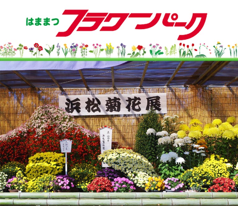 2022年11月2～23日『第71回 浜松菊花大会』はままつフラワーパーク
