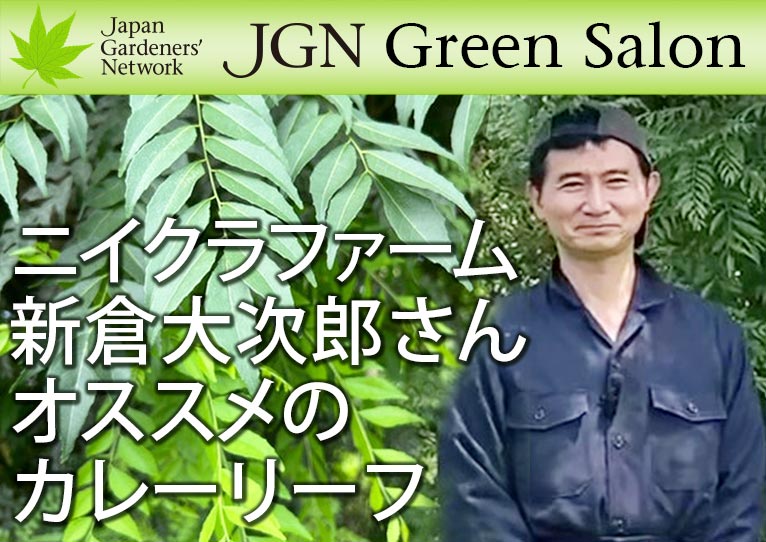 【JGN グリーンサロン】JGN創立メンバー ニイクラファーム 新倉大次郎さん オススメのカレーリーフ