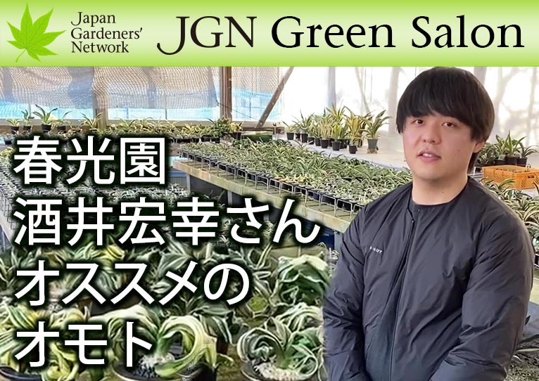YouTube動画【JGN グリーンサロン】 JGNメンバー 春光園 酒井 宏幸さんオススメのオモト