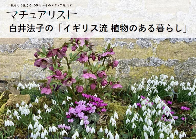 ガーデンライター 白井法子　紹介ページ　白井法子の「イギリス流 植物のある暮らし」
マチュアリスト