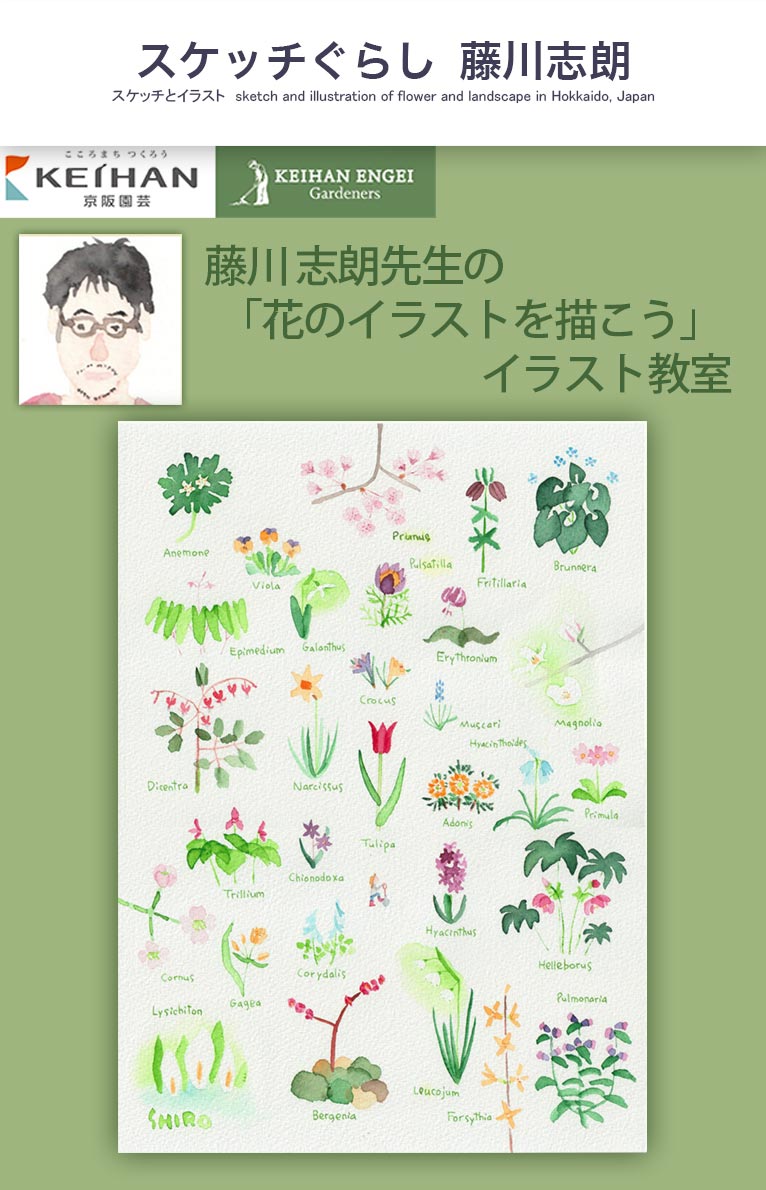 2023年3月4日藤川 志朗先生の「花のイラストを描こう｣イラスト教室　京阪園芸ガーデナーズ