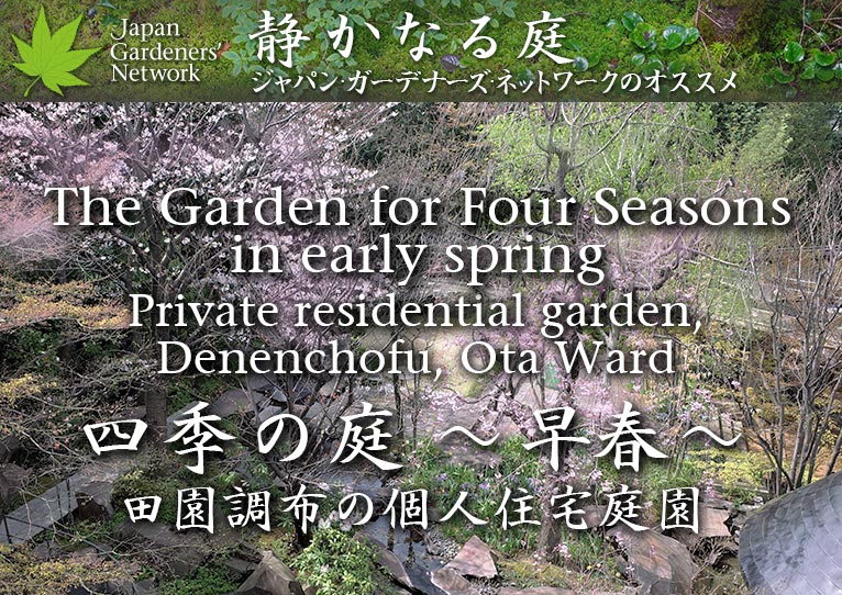【JGN静かなる庭】四季の庭 ～早春～ 田園調布の非公開の個人住宅庭園