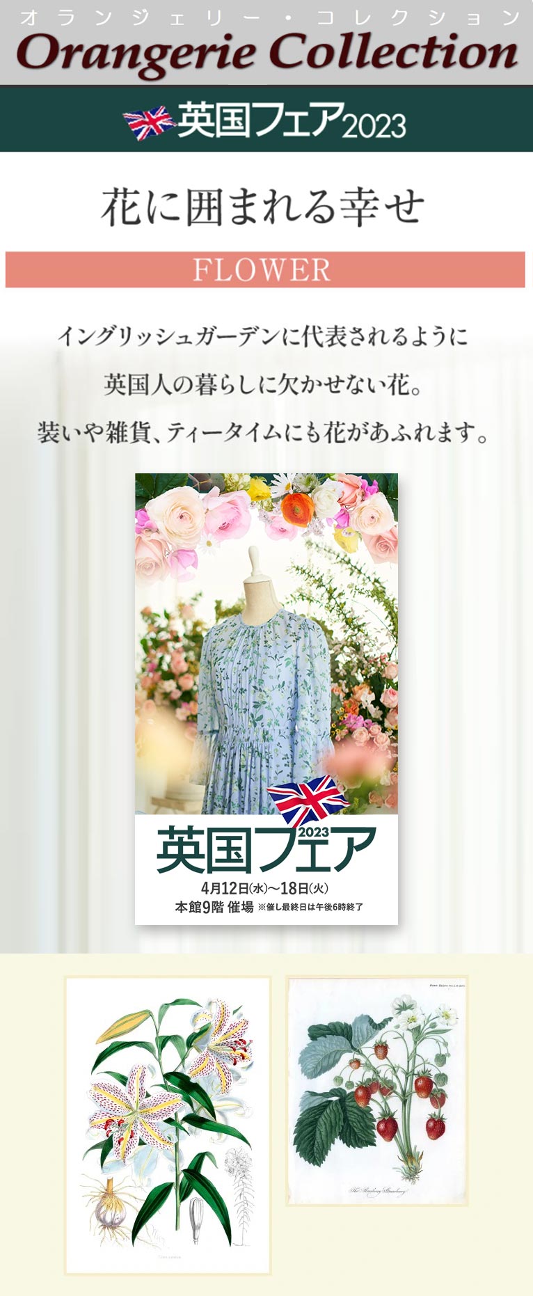 2023年4月12～18日神戸阪急『英国フェア2023』　植物画を展示販売します！ オランジェリー・コレクション