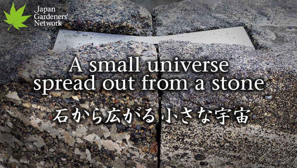 【JGN 静かなる庭】石から広がる小さな宇宙
