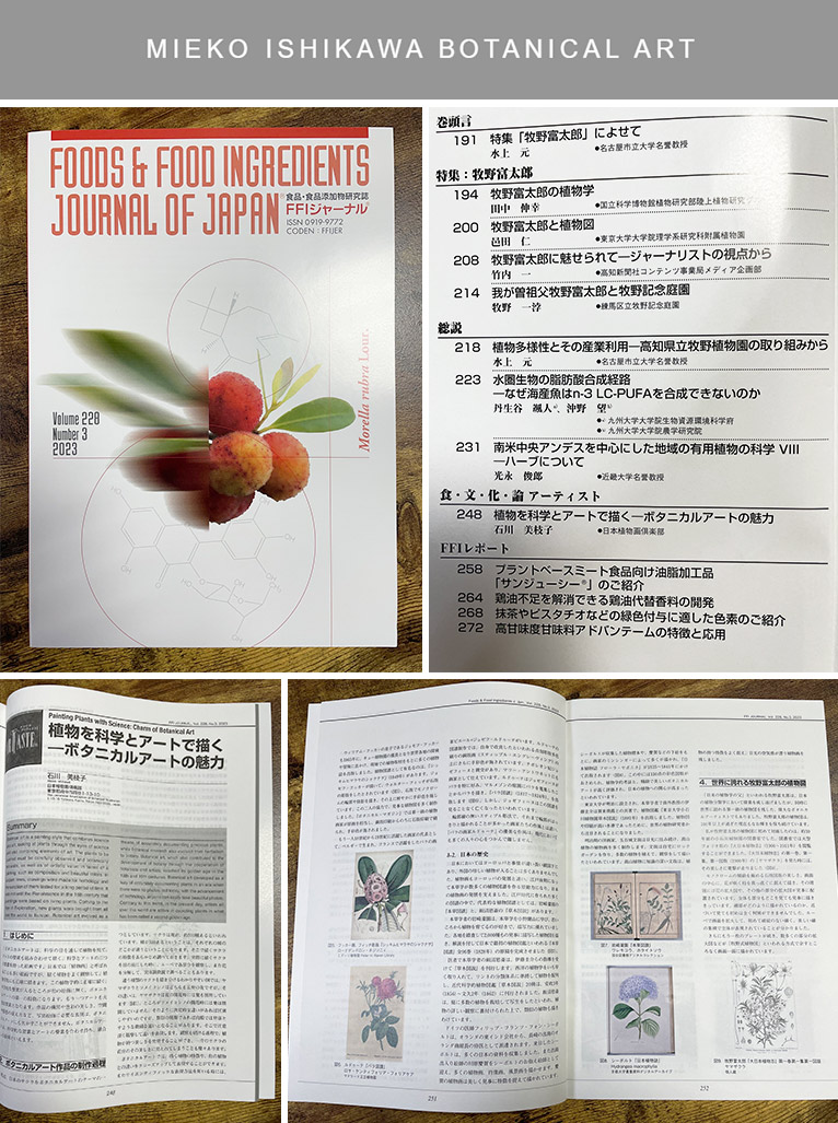 FFIジャーナル® Vol.228 No.3 2023に『植物を科学とアートで描く―ボタニカルアートの魅力』を掲載していただきました。石川 美枝子
