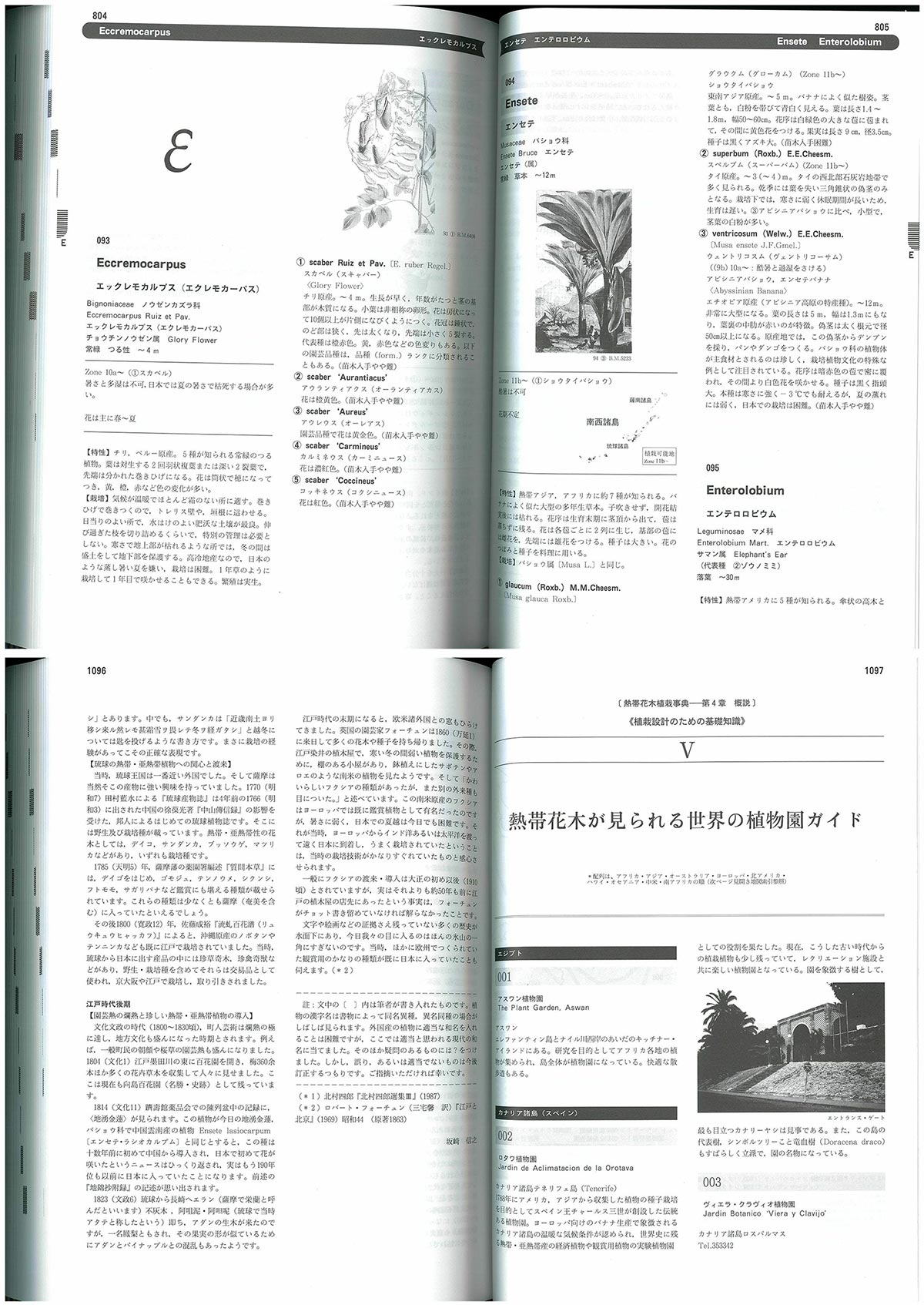 日本で育つ熱帯花木植栽事典　トロピカル・ガーデニング・マニュアル　坂崎 信之著
