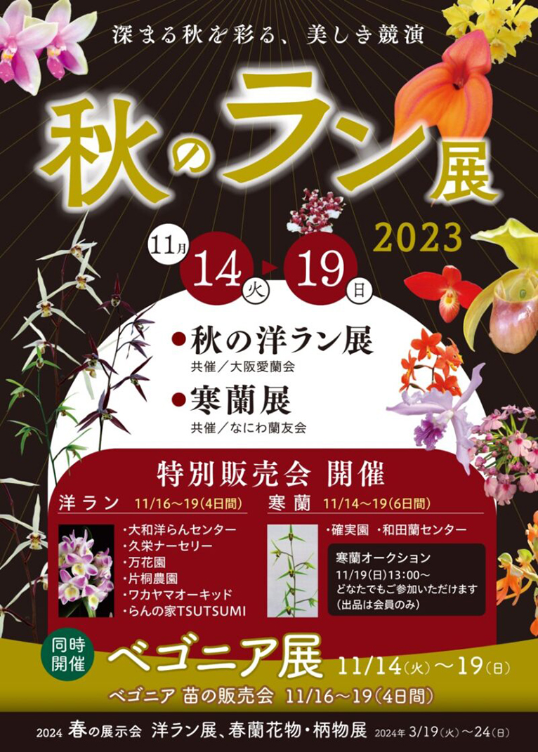 咲くやこの花館のイベント2023年11月14～19日『秋の洋ラン展』『秋のベゴニア展』『寒蘭展』