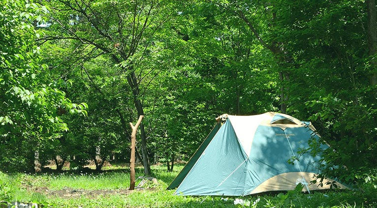 赤城自然園体験プログラム　赤城自然園 森のキャンプ場 MORIHAKU【要予約】