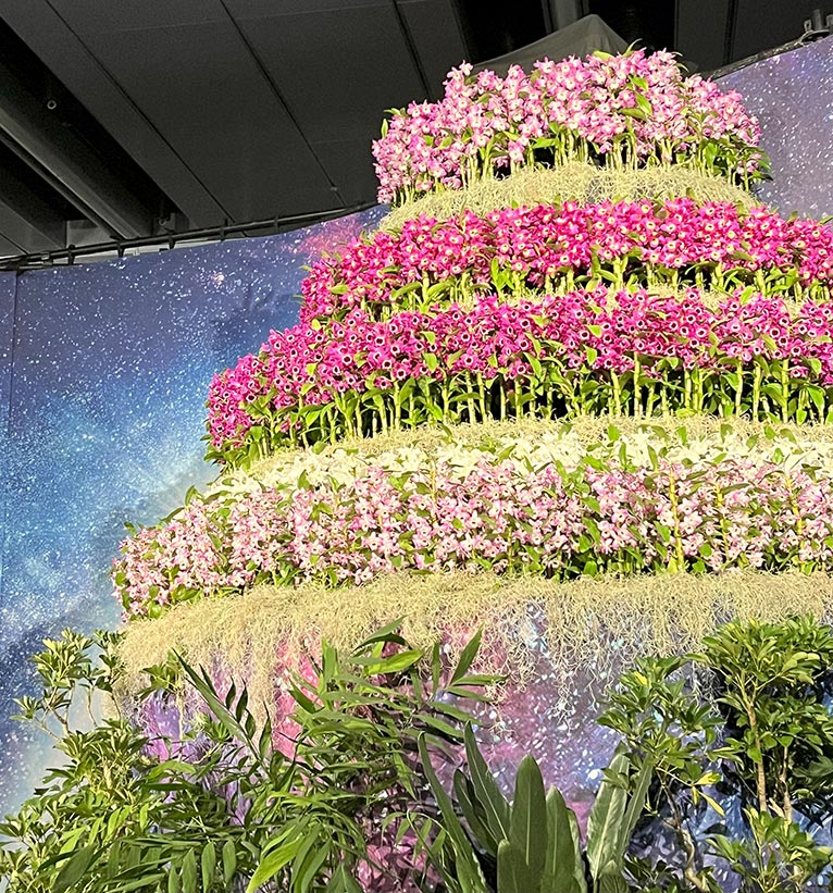 2022年3月24～30日『世界らん展2022-花と緑の祭典-』東京ドームシティ　プリズムホール　世界らん展2024に出かけてみました。高さのある展示に圧倒されます