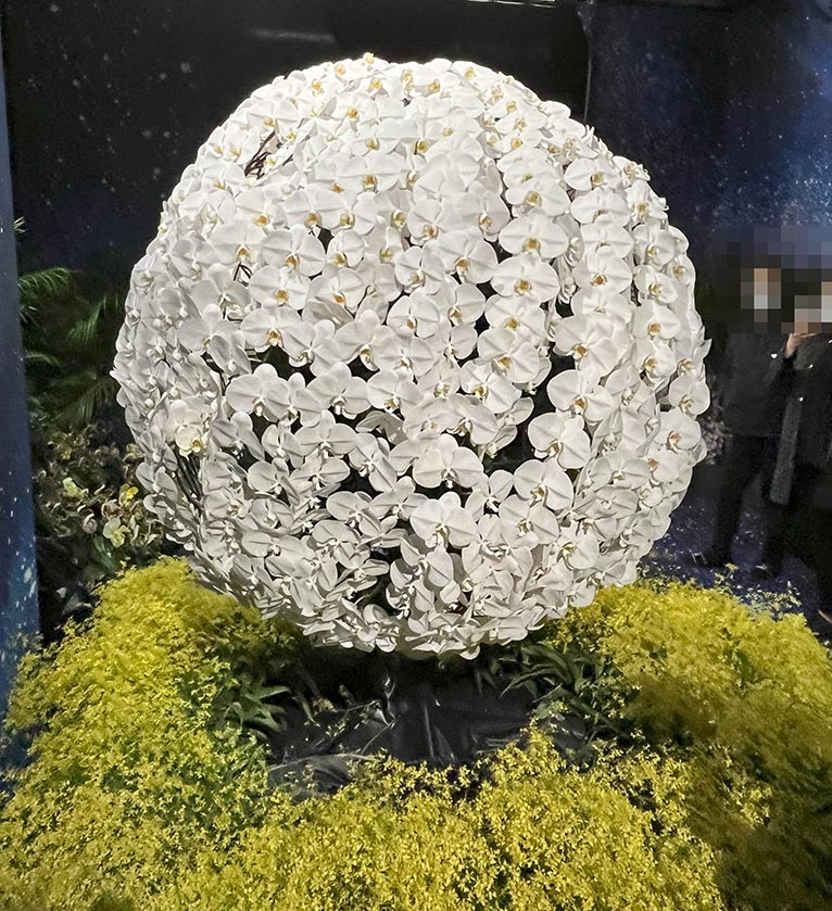 2022年3月24～30日『世界らん展2022-花と緑の祭典-』東京ドームシティ　プリズムホール　世界らん展2024に出かけてみました。星に見立てた球体の蘭