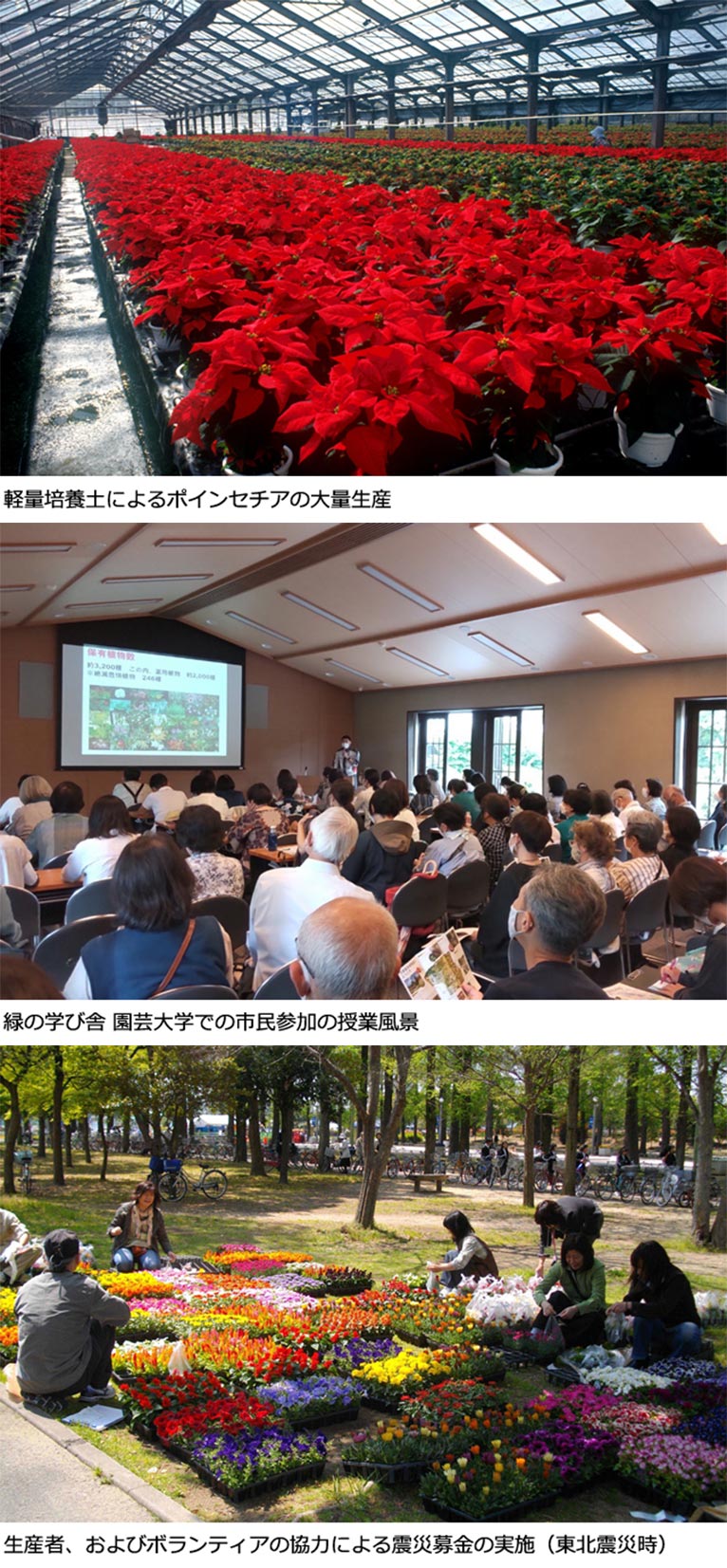 JGNメンバー 長村 智司さんが『松下幸之助花の万博記念賞・松下正幸園芸賞』を受賞されました！