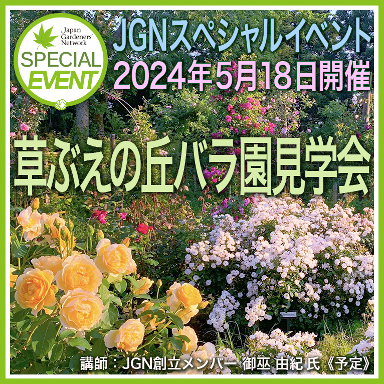 2024年5月18日現地集合！JGNスペシャルイベント『草ぶえの丘バラ園見学会』