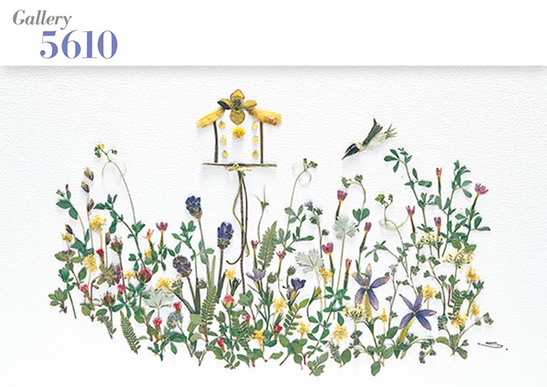 2024年4月9～13日大沢節子「小さな花の押し花」展～花咲く季節に笑みを～Gallery 5610