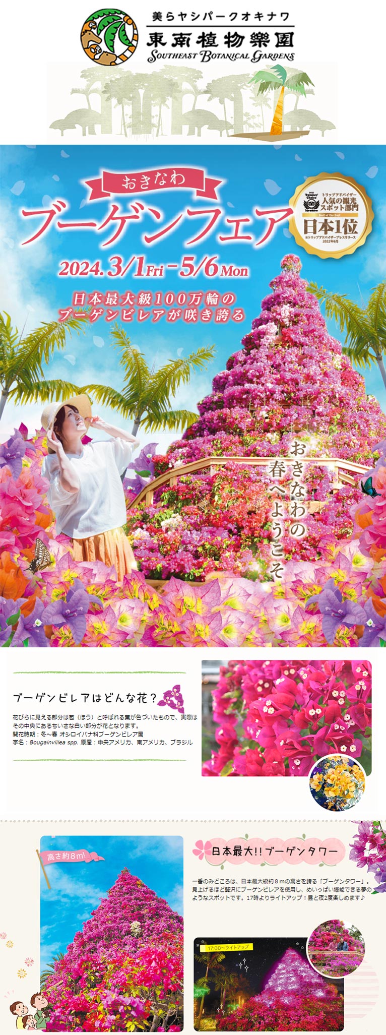 2024年3月1日～5月6日　おきなわブーゲンフェア2024　～日本最大級100万輪のブーゲンビレアが咲き誇る～　美らヤシパークオキナワ・東南植物楽園