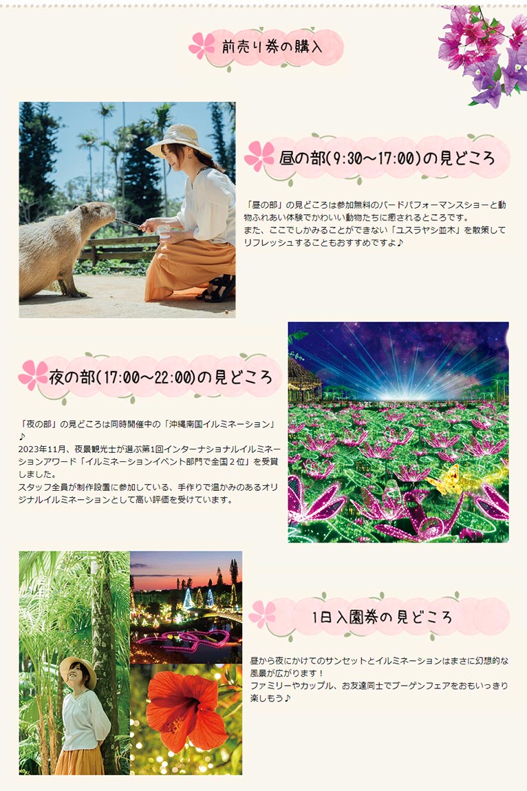 2024年3月1日～5月6日　おきなわブーゲンフェア2024　～日本最大級100万輪のブーゲンビレアが咲き誇る～　美らヤシパークオキナワ・東南植物楽園