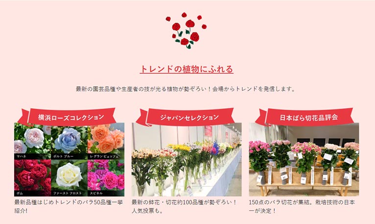 2024年5月3～6日『横浜フラワー＆ガーデンフェスティバル2024』トレンドの植物