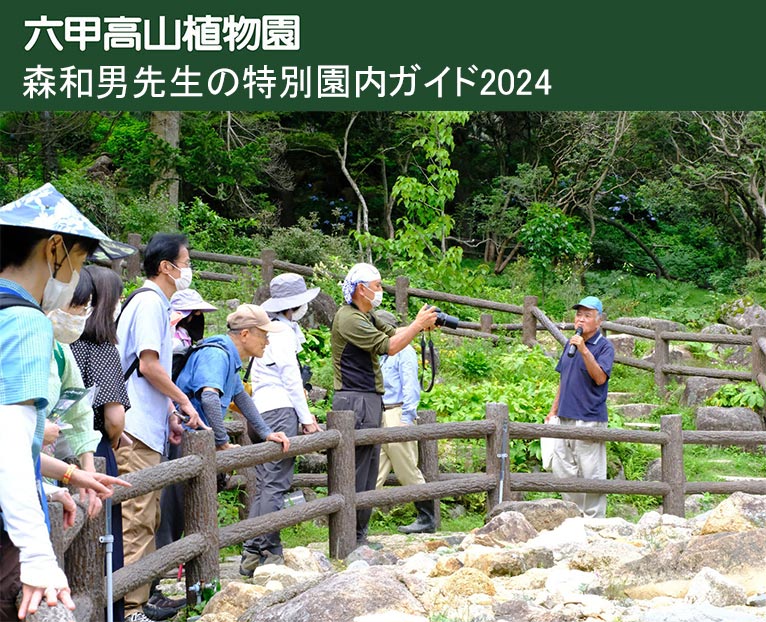 2024年3月16日～11月16日毎月第3土曜日『森和男先生の特別園内ガイド2024』六甲高山植物園