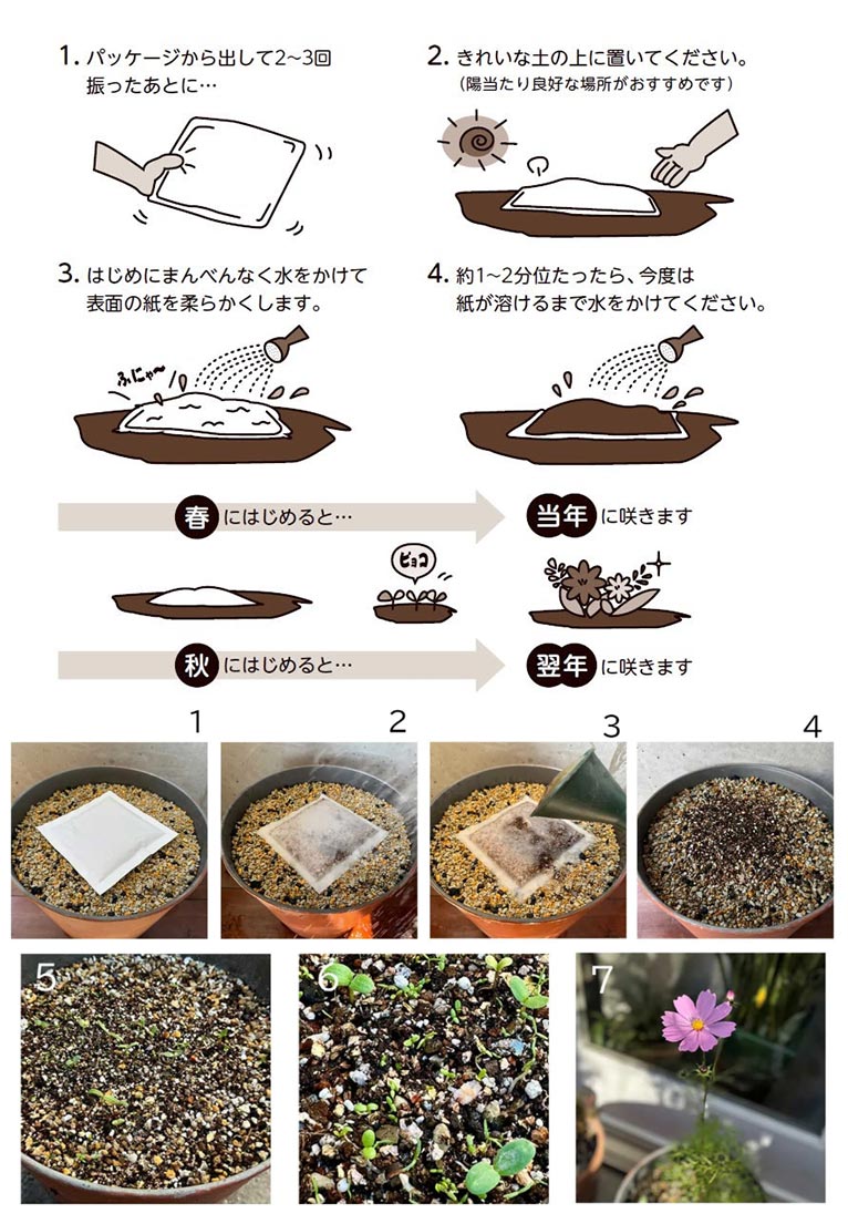 『吉谷桂子さん監修21種類のタネをブレンド メドウガーデン シードパック』