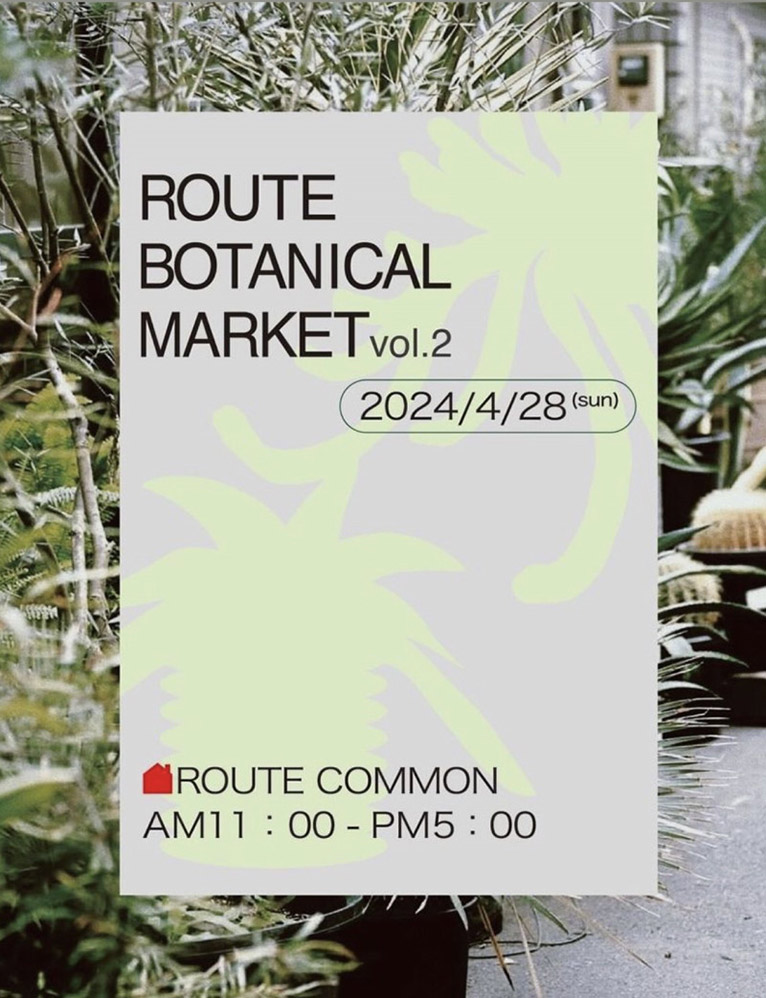 2024年4月28日『ROUTE BOTANICAL MARKET vol.2』春光園も出展します！