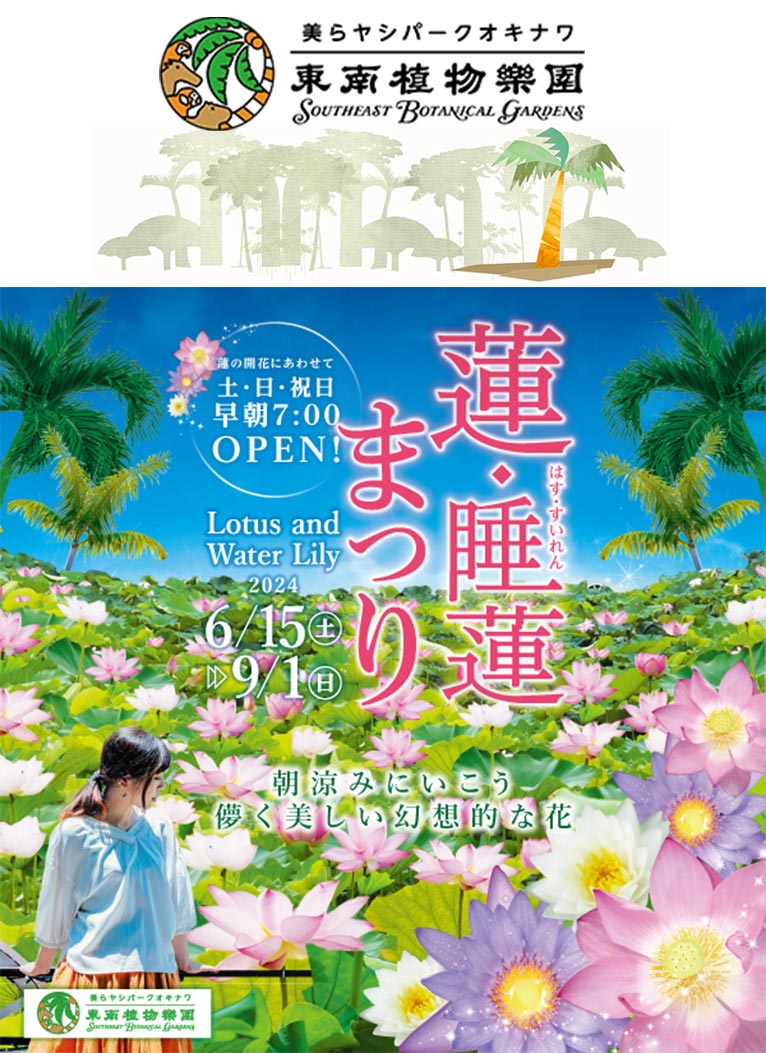 2024年6月15日～9月1日『蓮・睡蓮まつり2024 ～朝涼みに行こう　儚く美しい幻想的な花 ～』美らヤシパークオキナワ・東南植物楽園