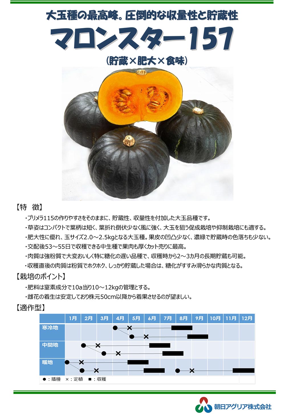 朝日アグリア株式会社　新商品のご案内 カボチャ新品種「マロンスター157」販売開始