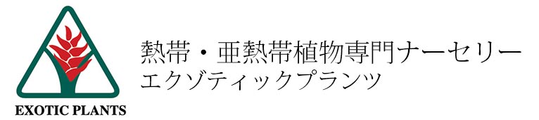 Gadenet(ガデネット)エクゾティックプランツ紹介ページ