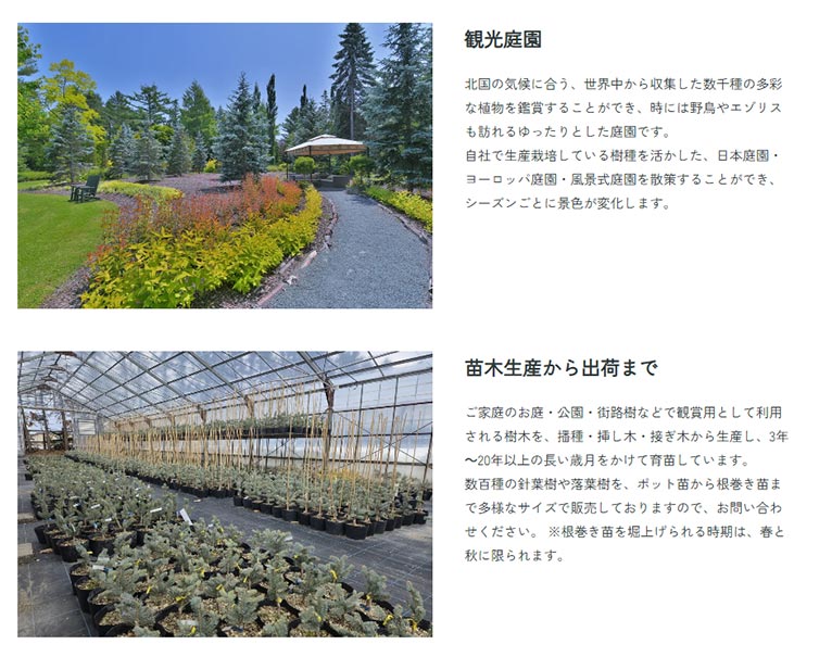 真鍋庭園 紹介ページ　苗畑事業（農業）観光庭園　苗木生産から出荷まで