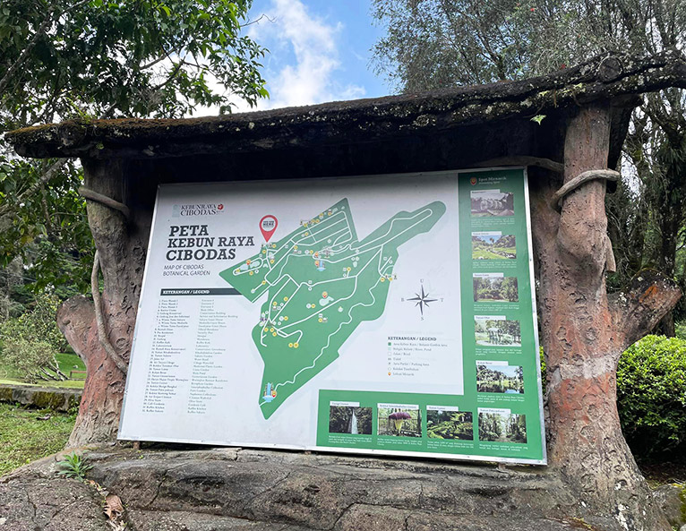 『インドネシア旅行記』ジャワ島 チボダス植物園　JGN創立メンバー 石川 美枝子氏