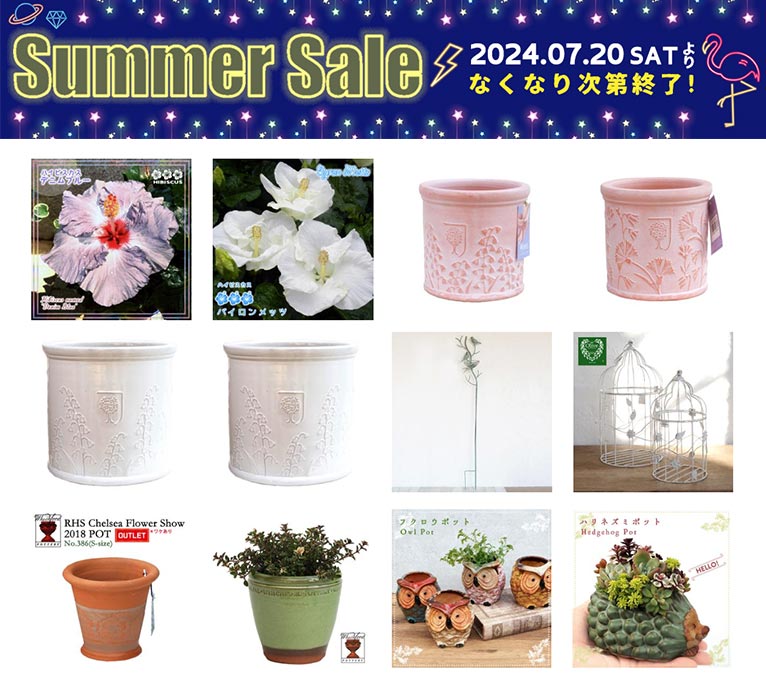 2024年7月20日～なくなり次第終了『SUMMER SALE』Yahoo!ショッピング植木鉢屋　株式会社 渋谷園芸