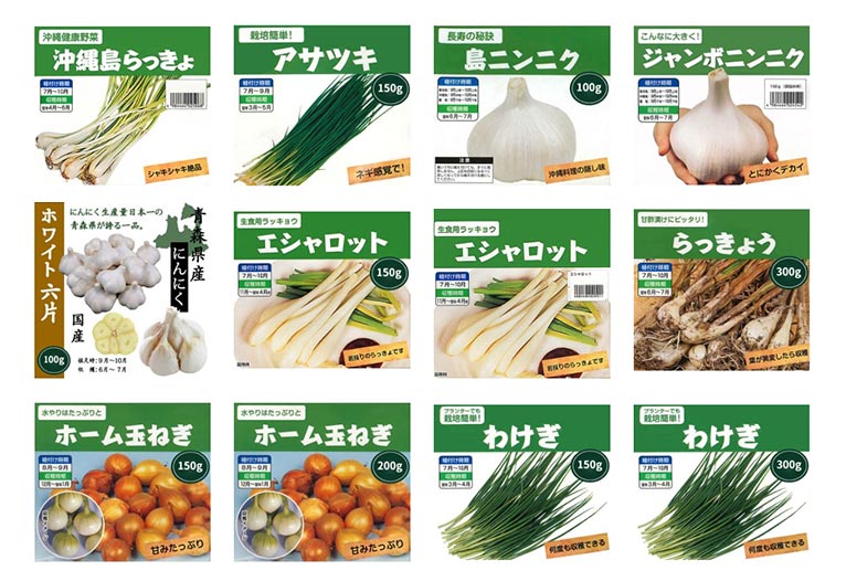 2024年7月22日～『夏植え野菜球根各種販売』Yahoo!ショッピング植木鉢屋　株式会社 渋谷園芸