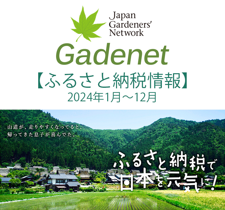 【Gadenet ふるさと納税情報】2024年1月～12月