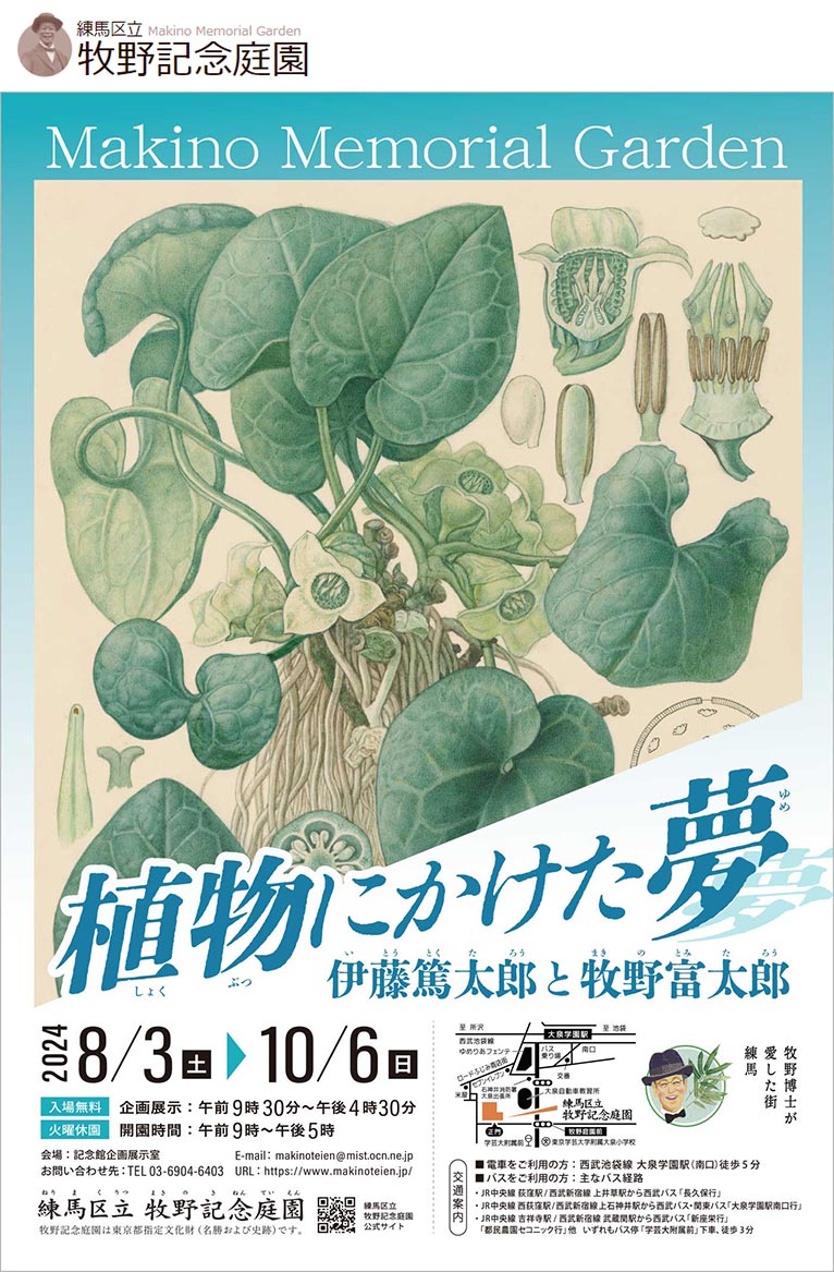 2024年8月3日～10月6日『植物にかけた夢～伊藤篤太郎と牧野富太郎～』牧野記念庭園