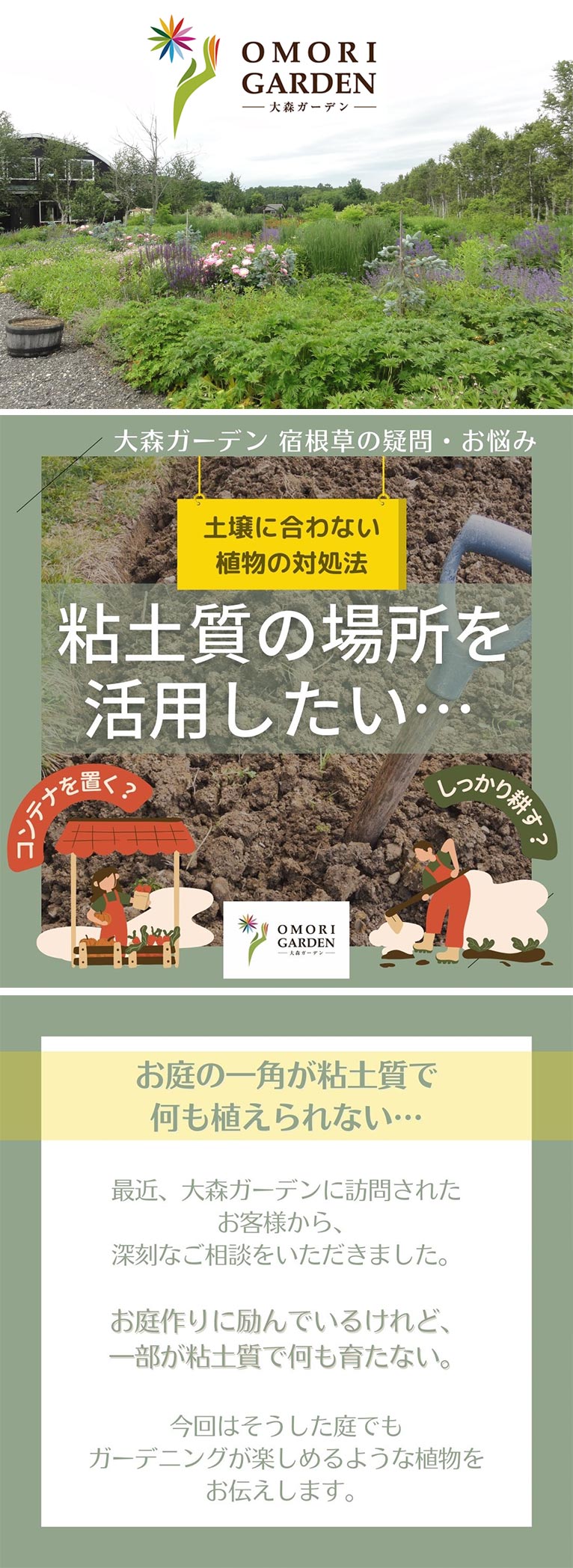 『粘土質の場所を活用したい・・・』大森ガーデン通販