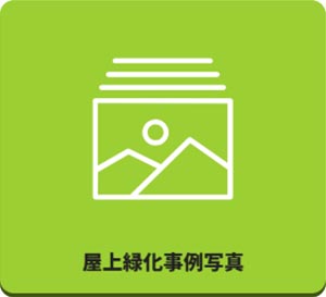 田島緑化プラス株式会社 紹介ページ 屋上緑化の専門会社です　屋上緑化実例写真