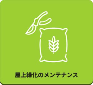 田島緑化プラス株式会社 紹介ページ 屋上緑化の専門会社です　屋上緑化のメンテナンス