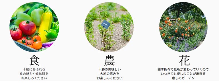 十勝ヒルズ　紹介ページ