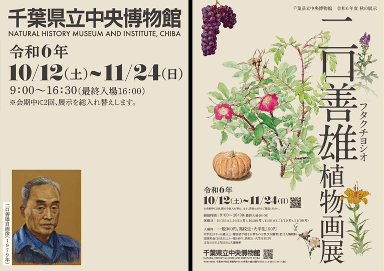 2024年10月12日～11月24日『二口善雄植物画展』千葉県立中央博物館