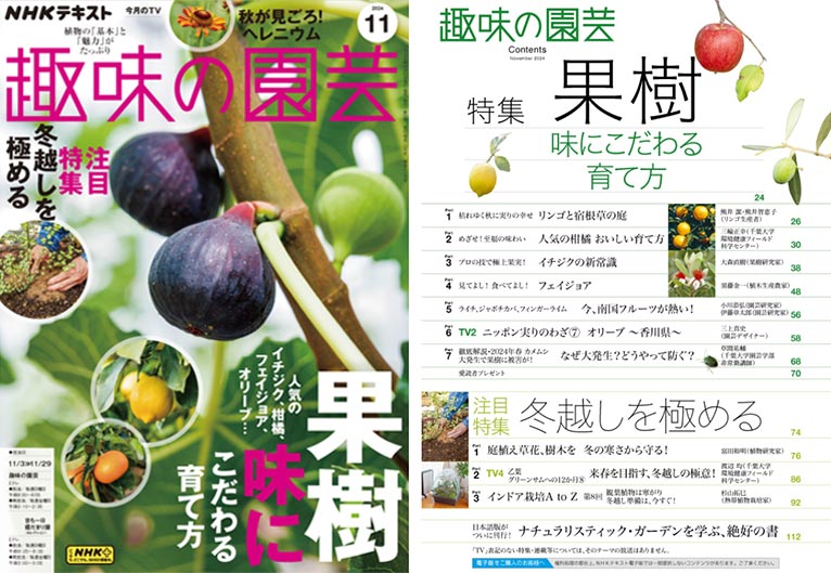 NHK趣味の園芸2024.11月号『徹底解説・2024年春 カメムシ大発生で 果樹に被害が!』JGN創立メンバー 草間 祐輔氏『【連載】私の植物偏愛記　小黒 晃×アガパンサス』JGN創立メンバー 園芸家 小黒 晃氏