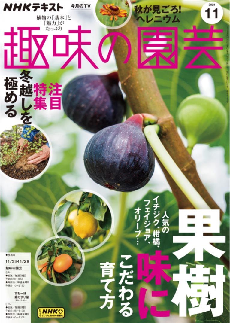 NHK趣味の園芸2024.11月号