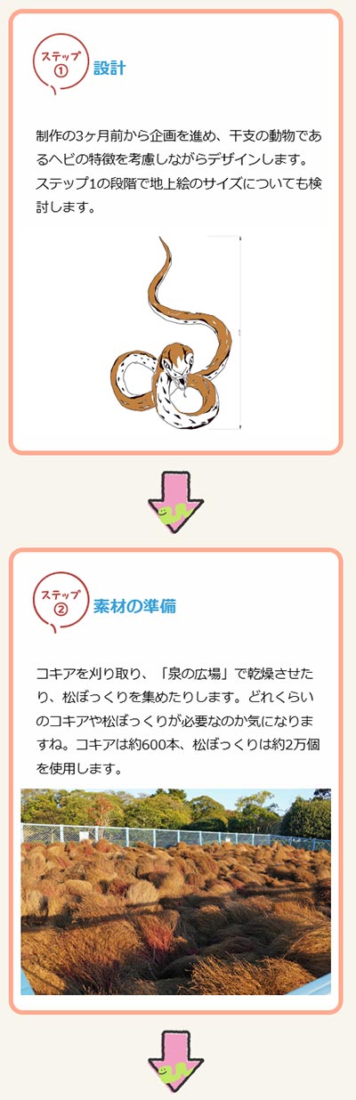 2024年12月14日～2025年1月13日展示　国営ひたち海浜公園の2025年の干支「巳」の巨大地上絵を制作しました！ 株式会社砂押園芸