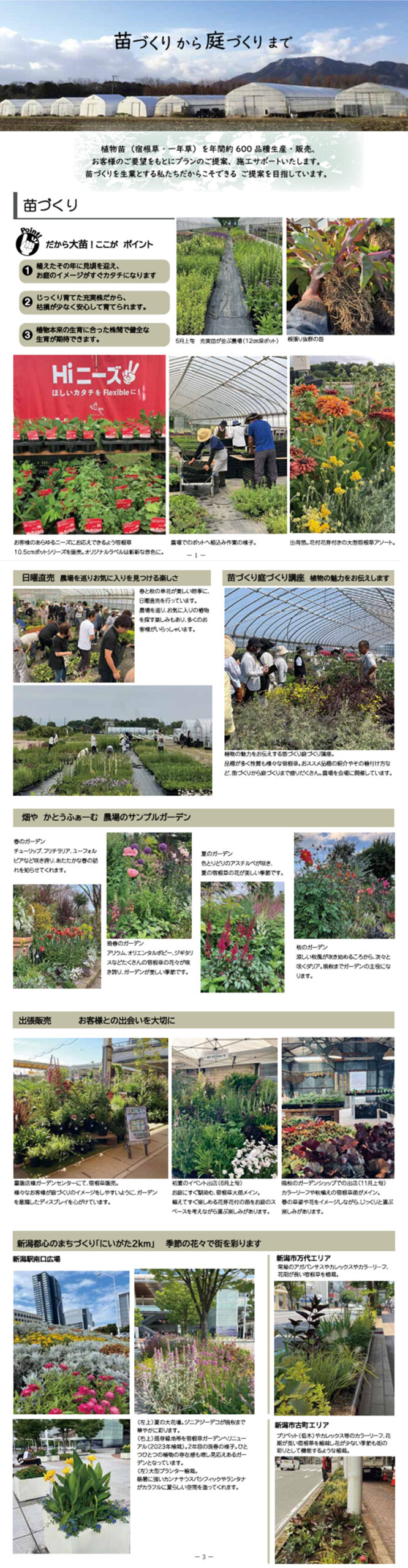 『2025 植物苗カタログ』畑やかとうふぁーむ